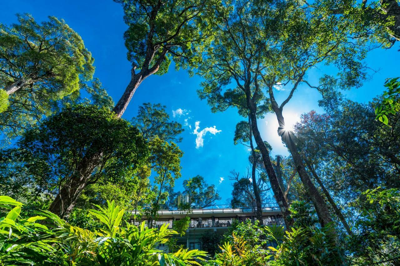 The Tall Trees Муннар Экстерьер фото