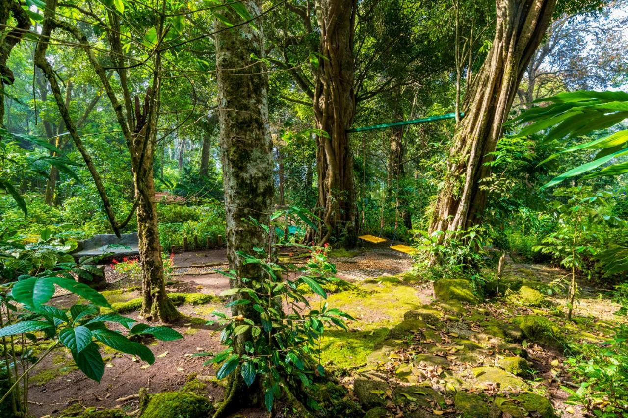 The Tall Trees Муннар Экстерьер фото